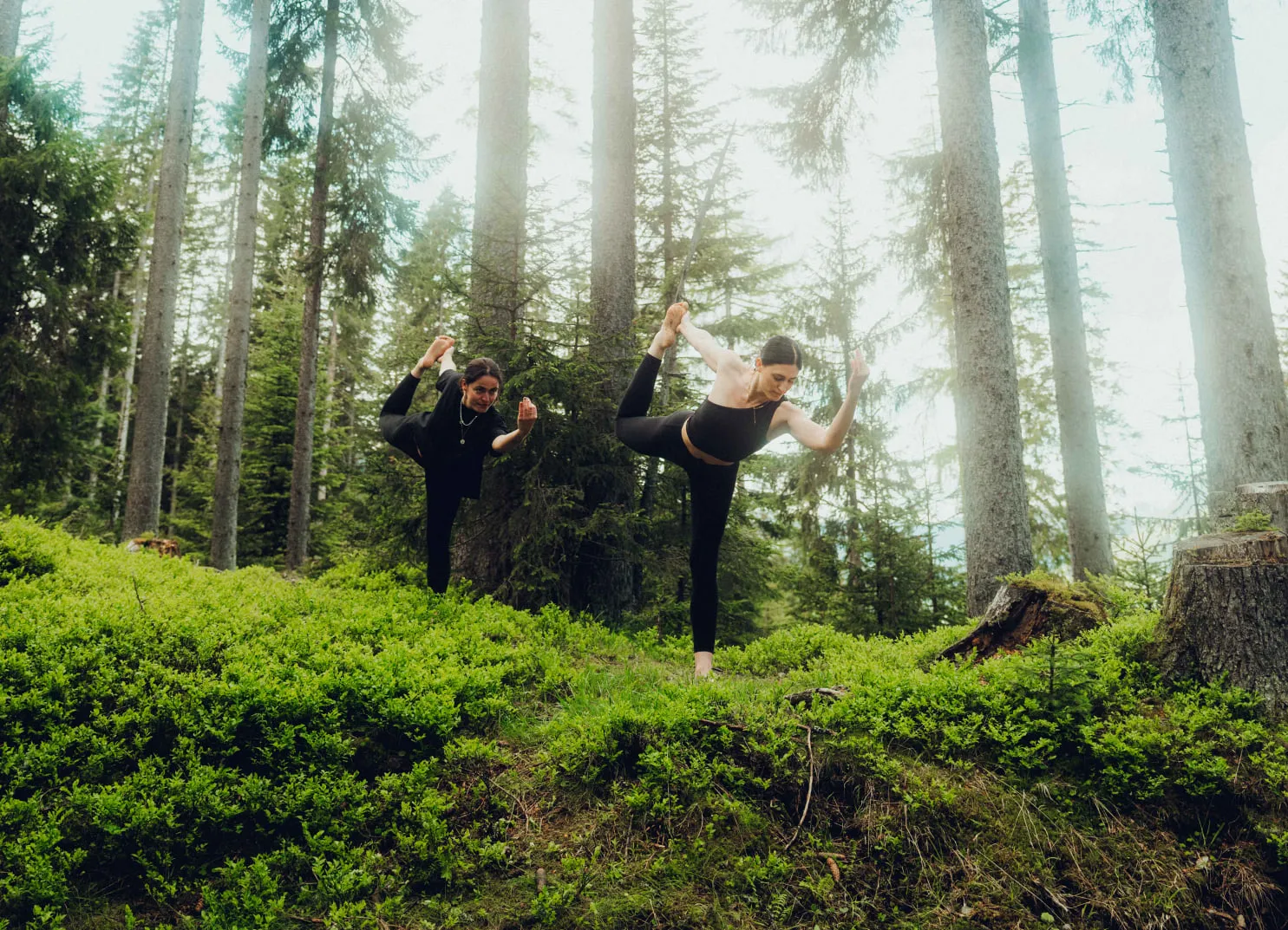 Zwei Frauen praktizieren Yoga im Wald.